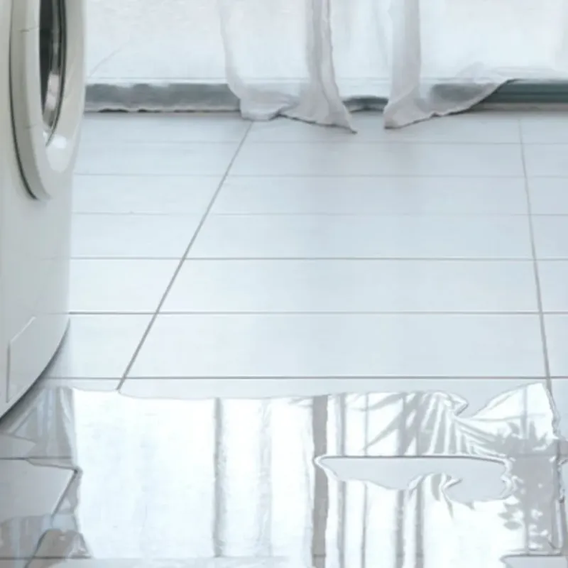 Appliance Leak Cleanup in Centreville, IL