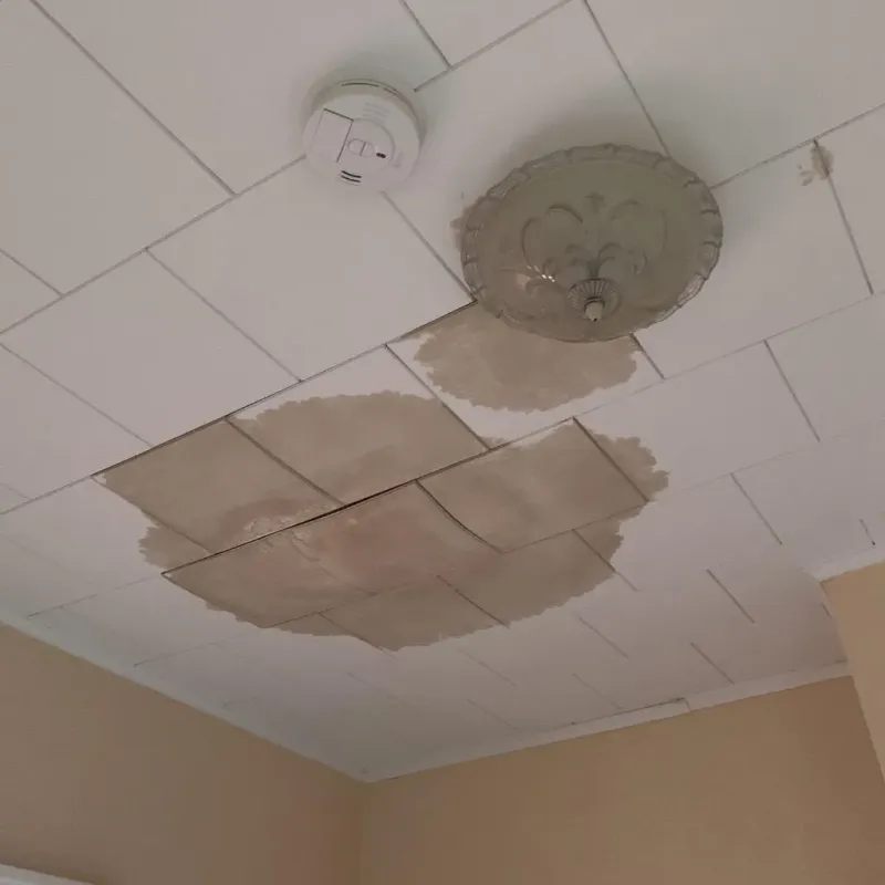 Ceiling Water Damage Repair in Centreville, IL