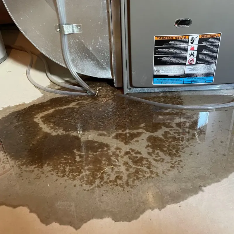 Pipe Burst and Leak Restoration in Centreville, IL
