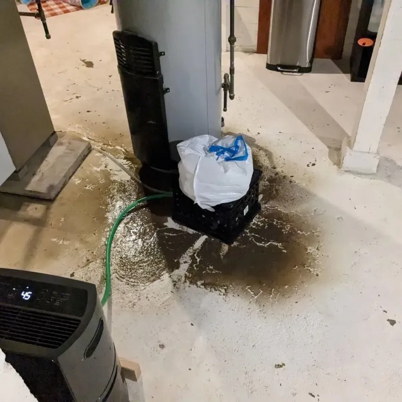 Sewage Backup Cleanup Service in Centreville, IL